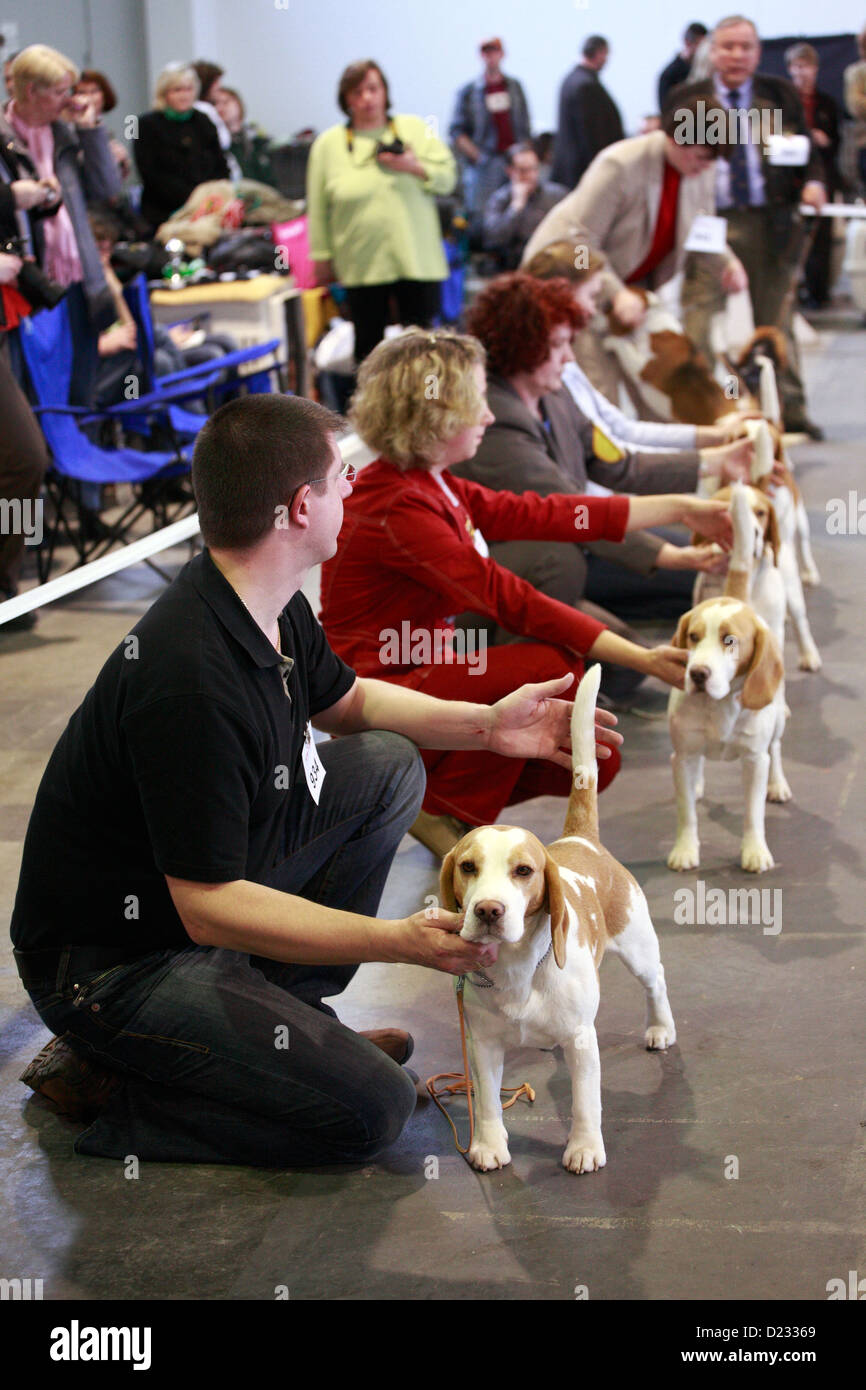Berlino, Germania, con il suo cane beagle proprietari in occasione di una mostra cane razze Foto Stock