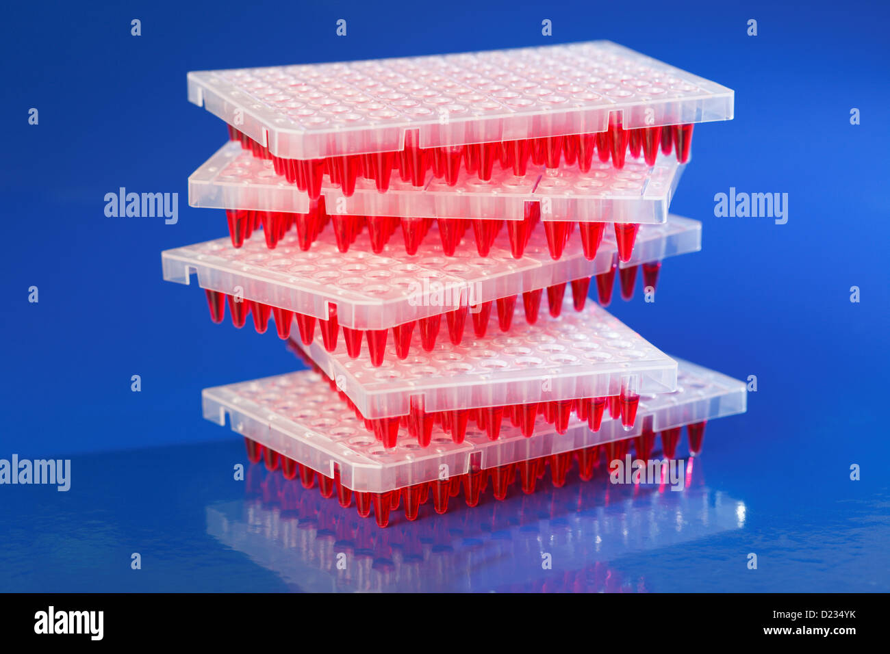 Piastre a 96 pozzetti sulla tabella lab con red campioni liquidi Foto Stock