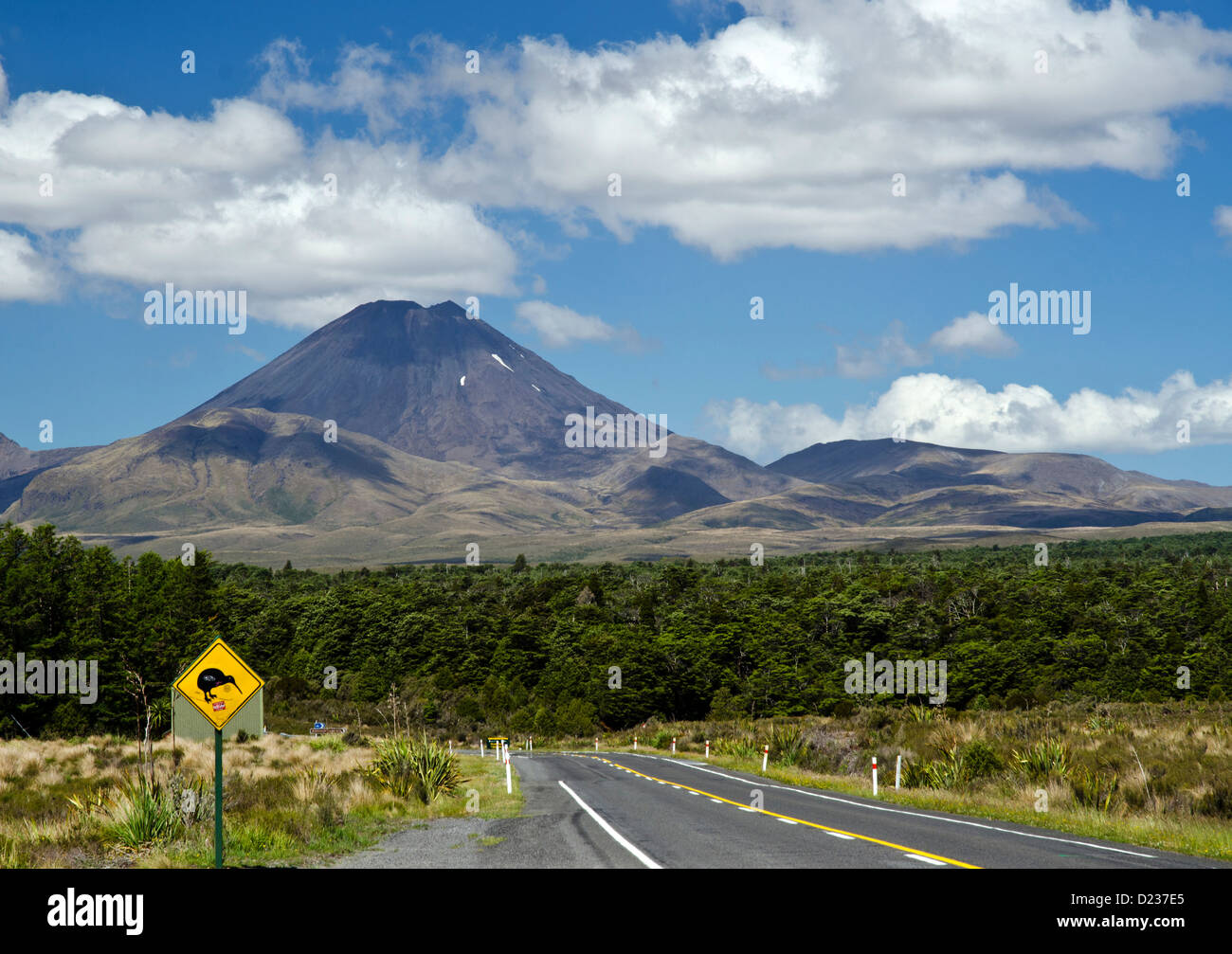 Kiwi segno per la strada verso il parco nazionale di Tongariro con la perfettamente simmetrico Mt Ngauruhoe sullo sfondo Foto Stock