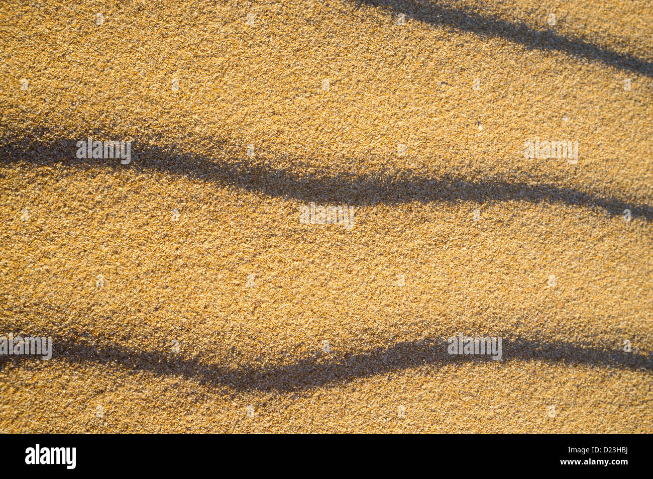 Modello ondulatorio su di un soleggiato dorate dune Foto Stock