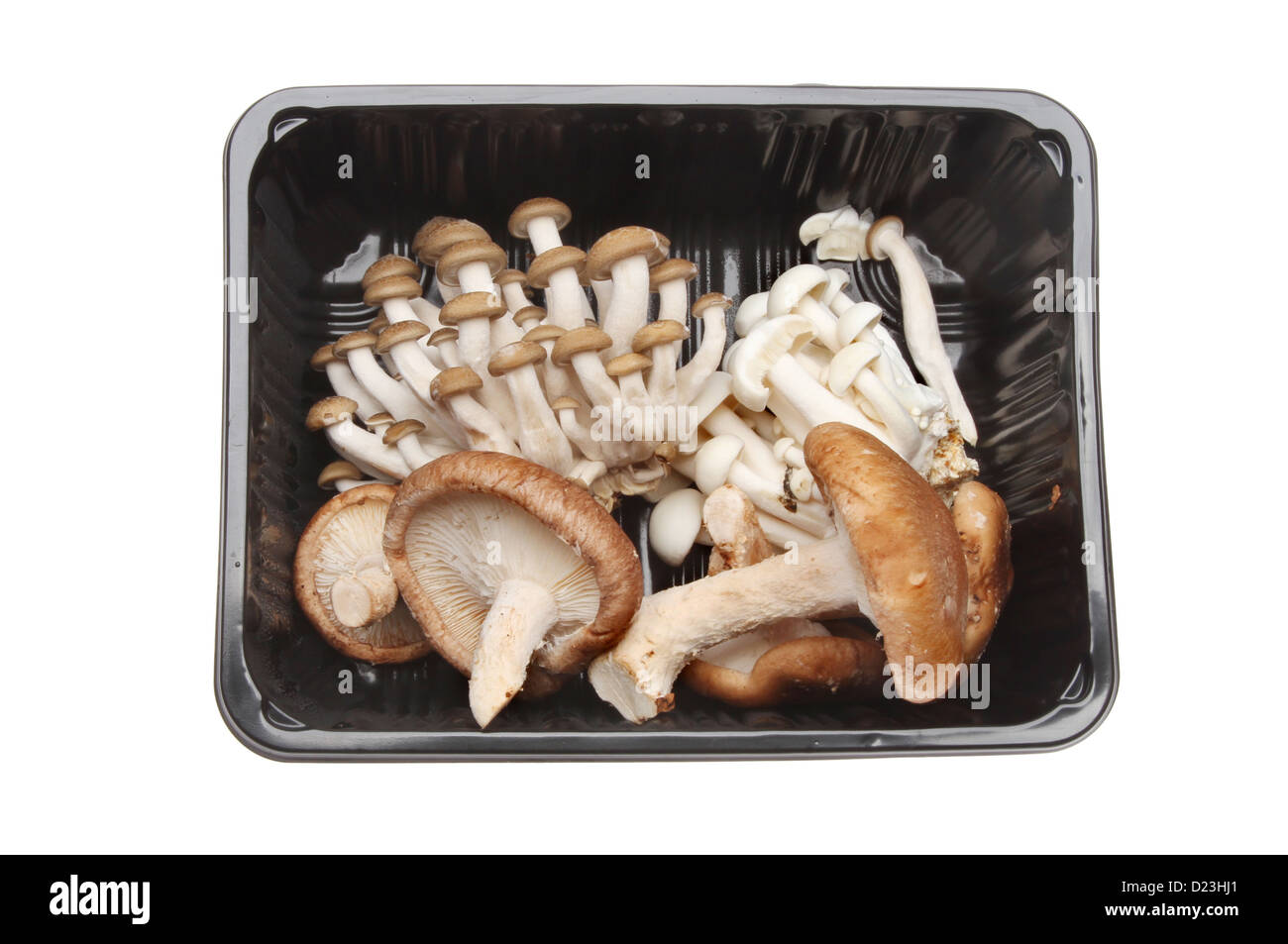 Esotici funghi commestibili,Maitake, Hon Shimeji, Shiro Shimeji e i funghi shiitake in un vassoio di plastica isolati contro white Foto Stock