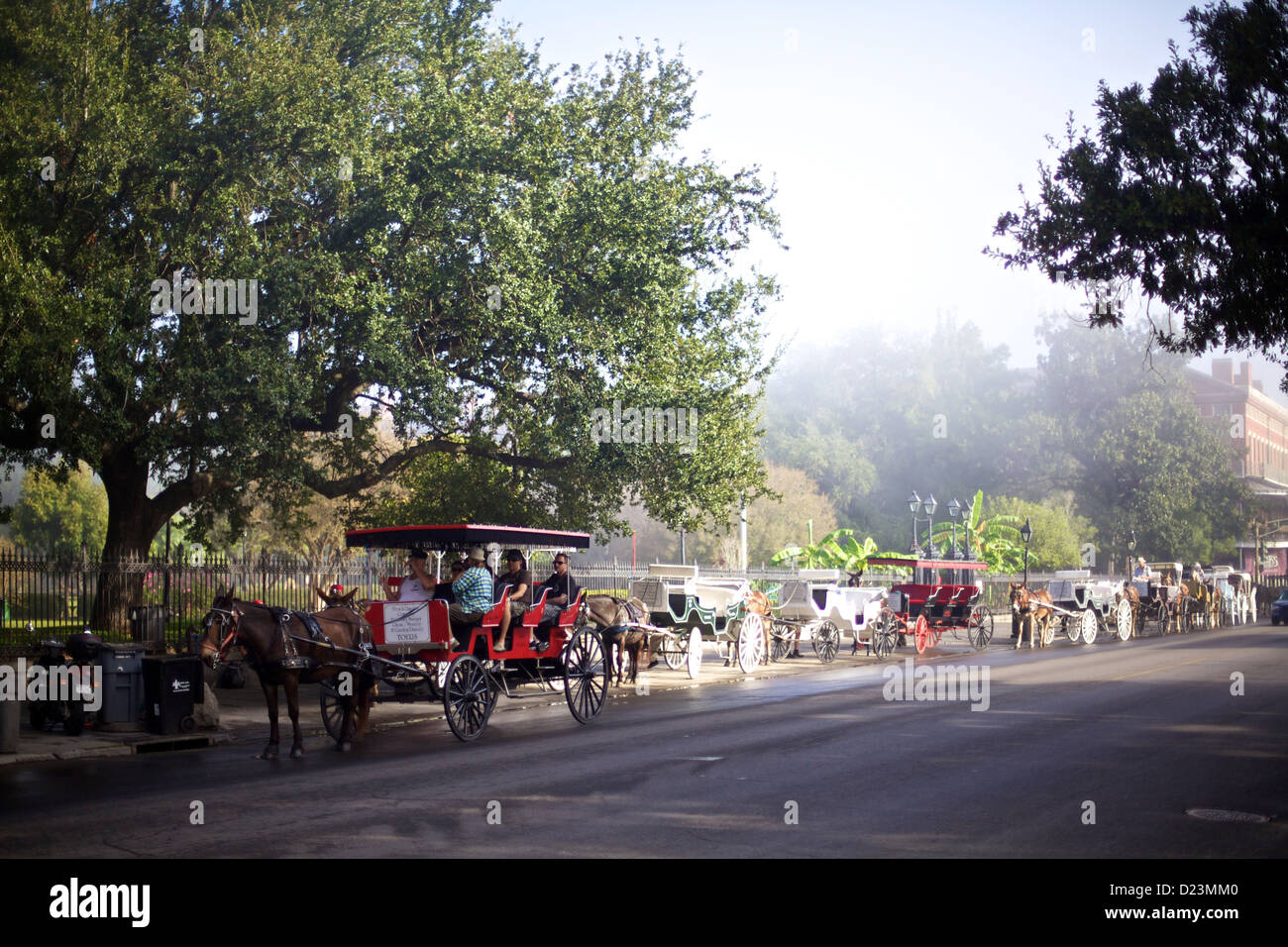 Le carrozze trainate da cavalli si allineano sotto lussureggianti querce verdi nel quartiere francese di New Orleans, Louisiana Foto Stock