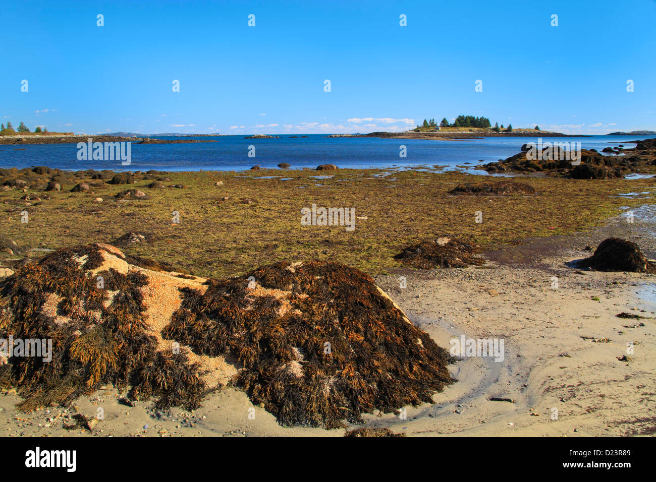 Geary spiaggia del parco cittadino, Vinalhaven Isola, Maine, Stati Uniti d'America Foto Stock