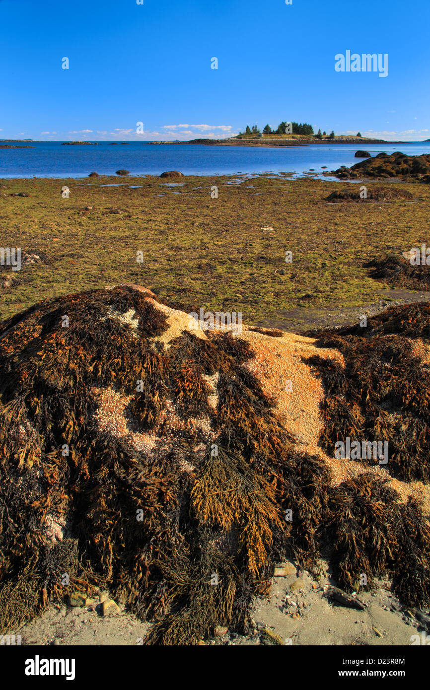 Geary spiaggia del parco cittadino, Vinalhaven Isola, Maine, Stati Uniti d'America Foto Stock