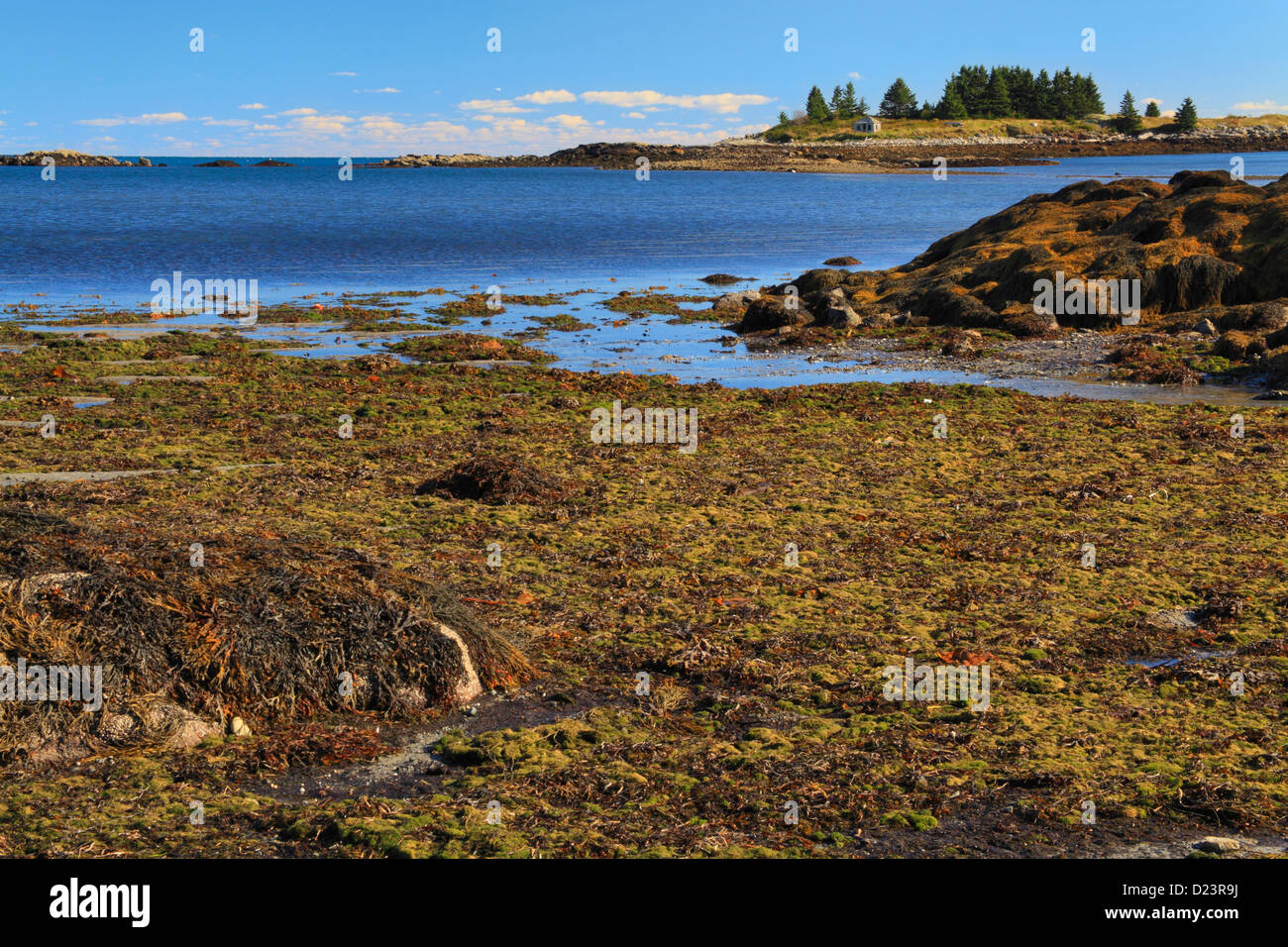 Geary spiaggia del parco cittadino, Vinalhaven Isola, Maine, Stati Uniti d'America Foto Stock