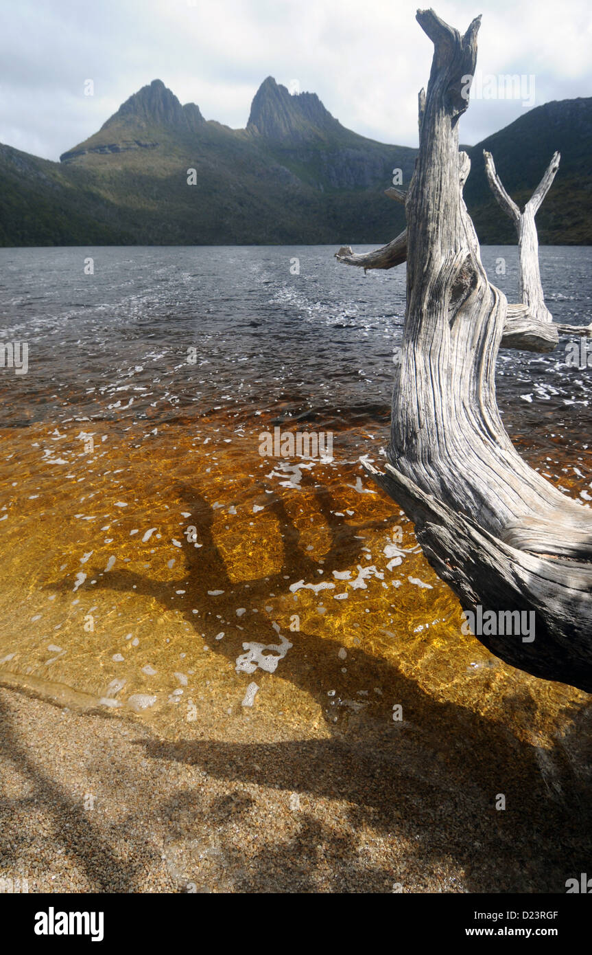 Lago di colomba e Cradle Mountain, culla Mt-Lake St Clair National Park, la Tasmania, Australia Foto Stock