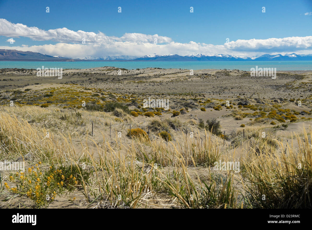 Lago Viedma e montagne delle Ande, Patagonia, Argentina Foto Stock