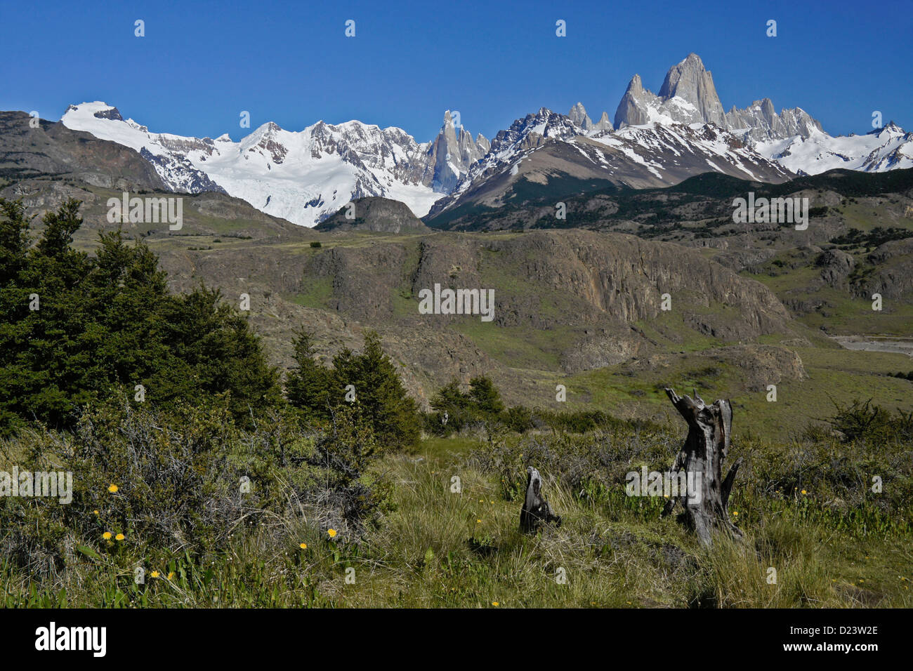Mt. Fitz Roy e Cerro Torre, gamma Fitz Roy delle Ande, Los Glaciares NP, Patagonia, Argentina Foto Stock Mt. Fitz Roy e Cerro Torre, gamma Fitz Roy delle Ande, Los Glaciares NP, Patagonia, Argentina Foto Stock