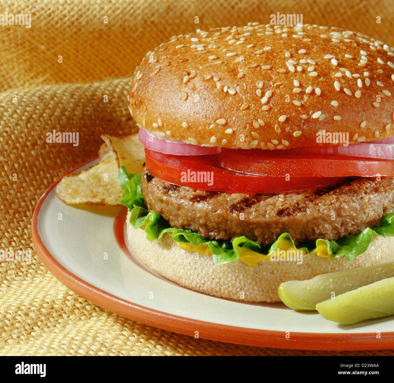 Hamburger Vegetariano con lattuga, pomodoro e cipolla servito con patate fritte e sottaceti Foto Stock