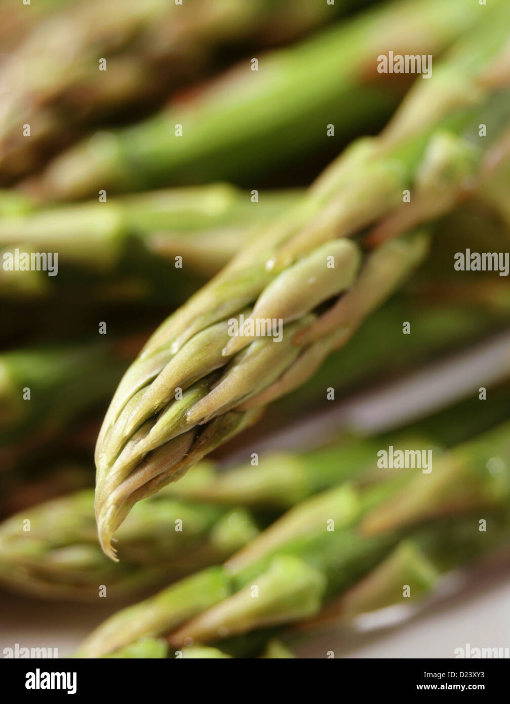 Close-up di asparagi Foto Stock