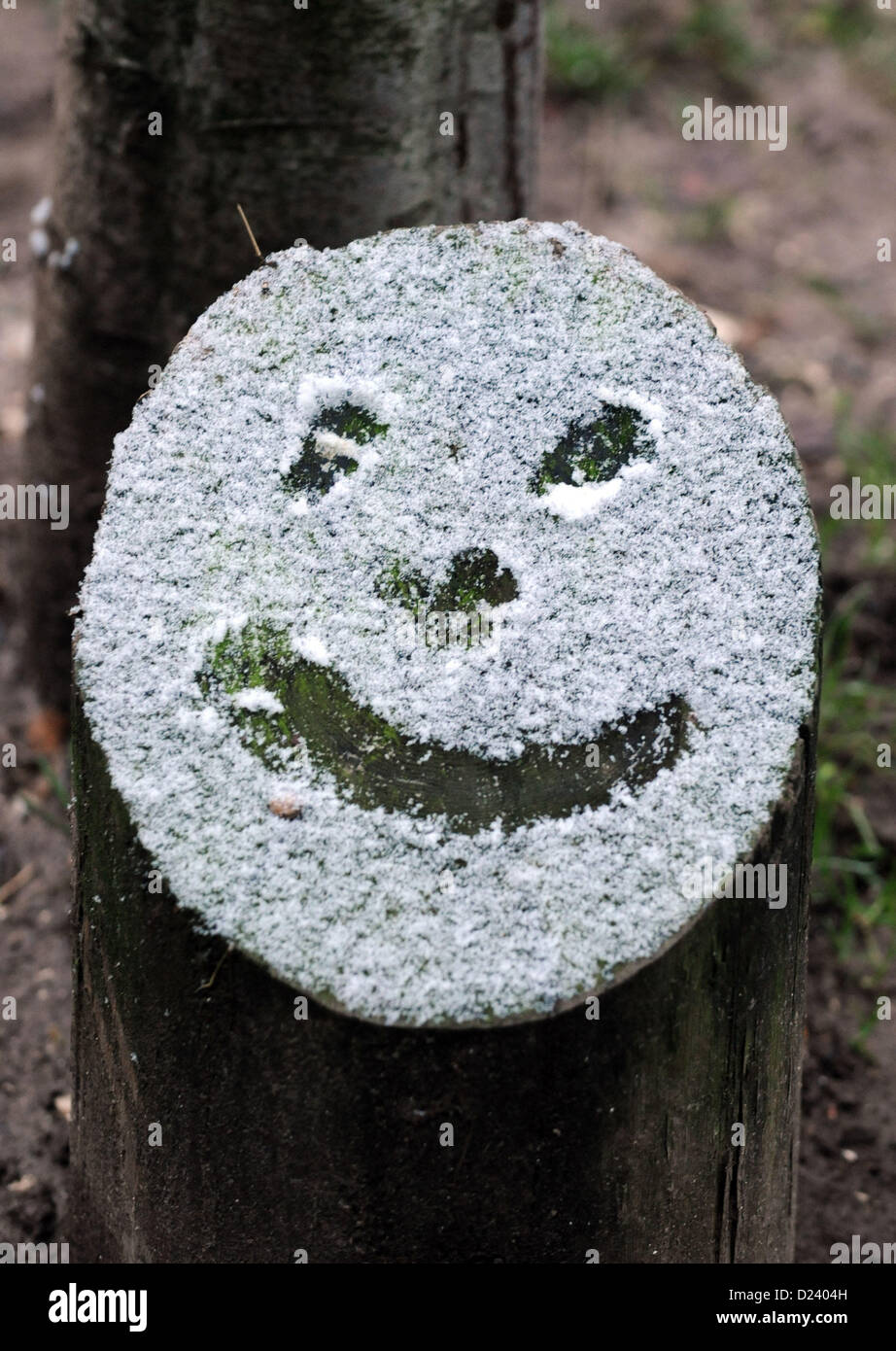 Brighton SUSSEX REGNO UNITO 14 Gennaio 2013 - faccia nevoso in Queens Park Brighton dopo una leggera spolverata di neve durante la notte fotografia scattata da Simon Dack/Alamy Live News Foto Stock