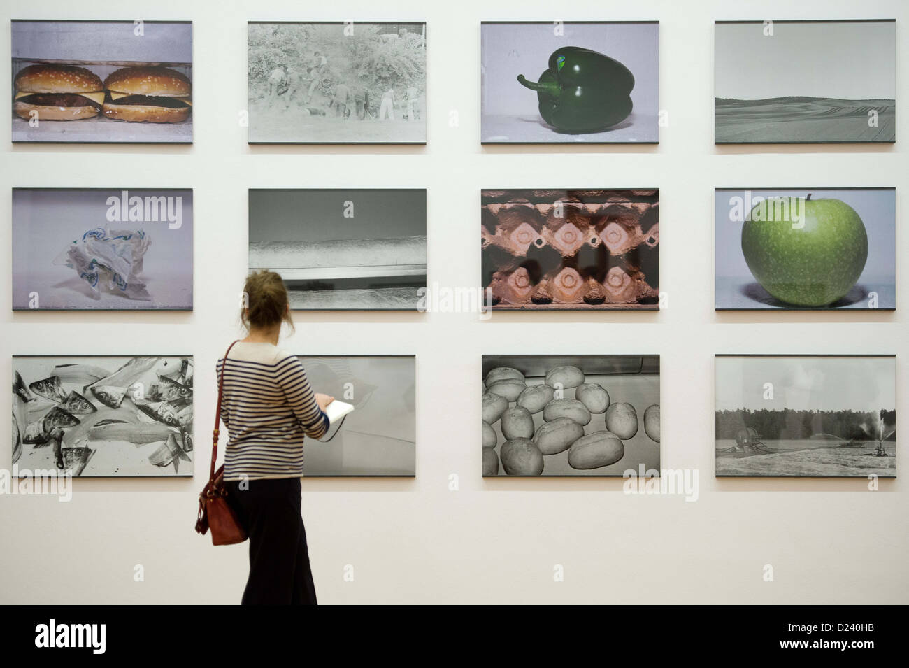 Una donna in visita alla mostra 'Michael Schmidt. Alimenti' a Martin-Gropius-Bau a Berlino, Germania, 11 gennaio 2013. Per il suo ultimo progetto per il trattamento dei prodotti alimentari in Europa Schmidt fotografato le aziende di allevamento ittico, panifici industriali e frutta-industrie di trasformazione. Foto: MAURIZIO GAMBARINI Foto Stock