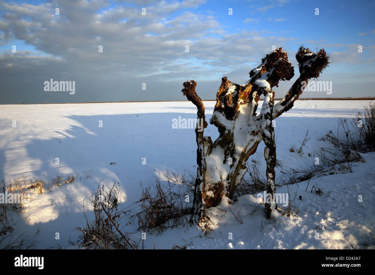 La neve copre un campo di Wustrow, Germania, 13 gennaio 2013. Foto: Bernd Wuestneck Foto Stock
