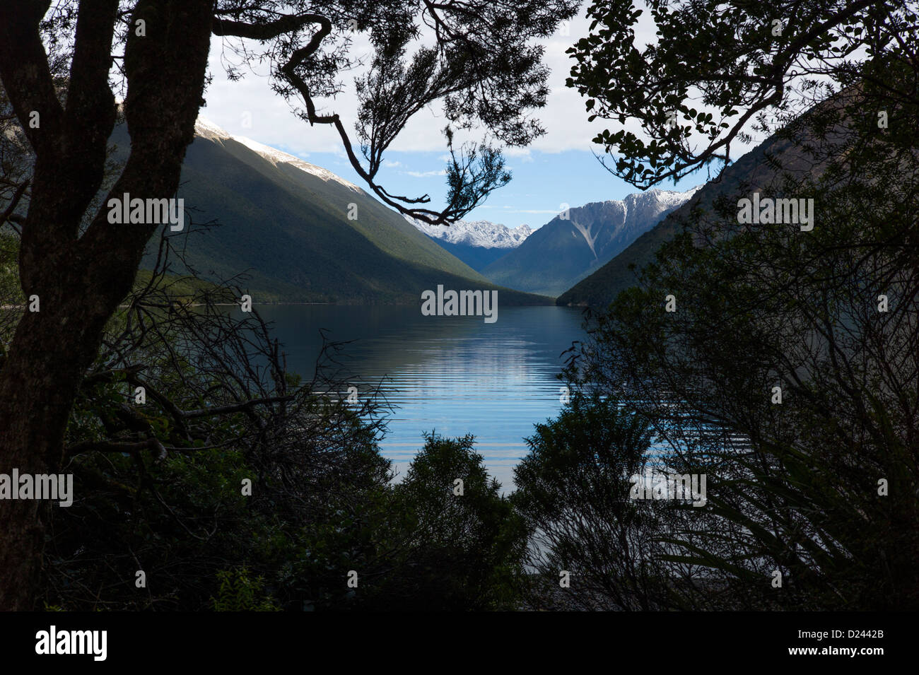 Lago Rotoiti, Nelson Lakes National Park, Nuova Zelanda Foto Stock