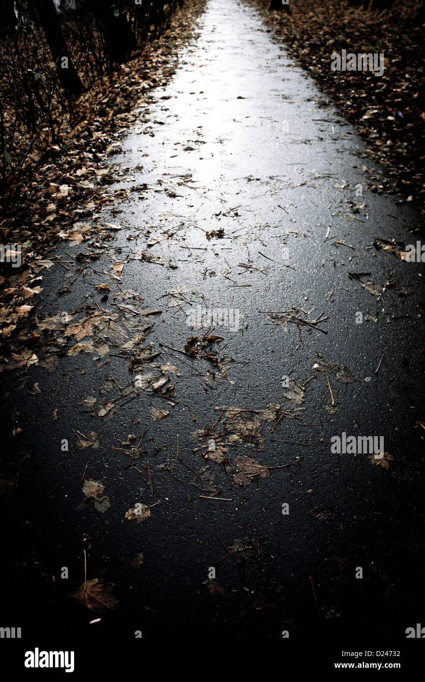 Strada bagnata dopo la pioggia, coperto con foglie cadute, Foto Stock