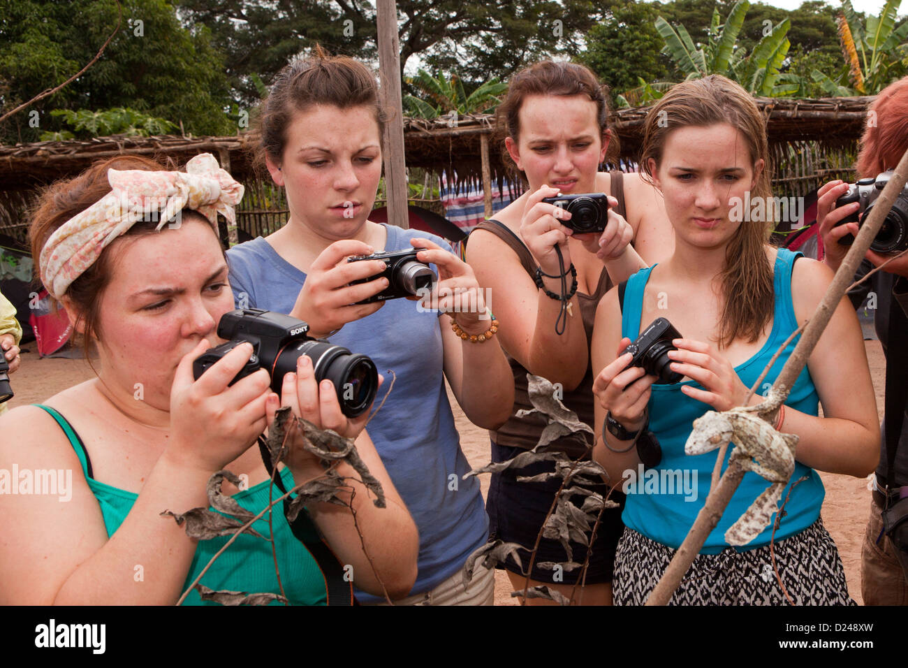 Madagascar, Funzionamento Wallacea, 6° modulo gli studenti a fotografare foglia Gecko codato Uroplatis heckeli Foto Stock