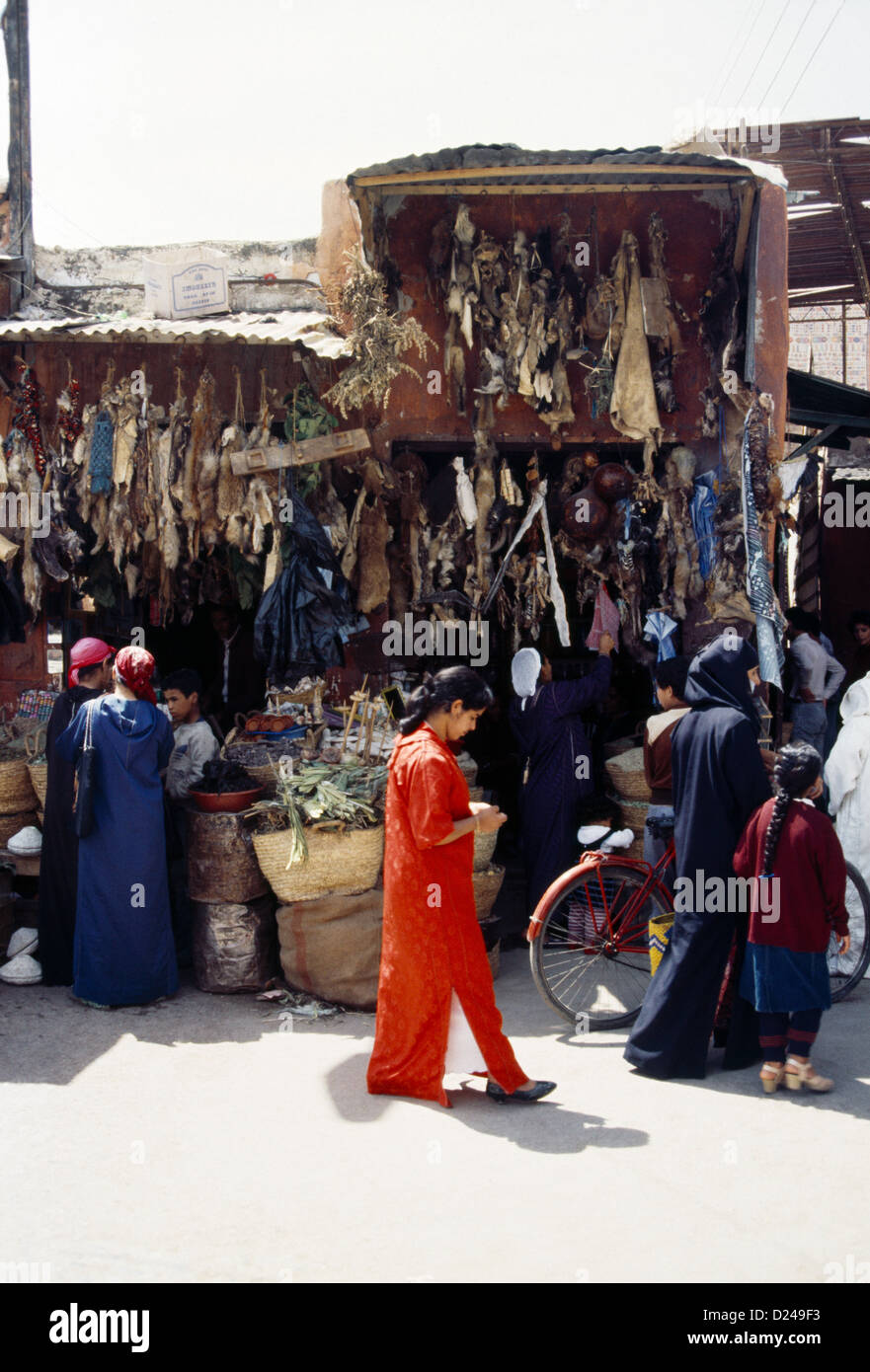 Marrakech marocco medicina locale Shop Foto Stock