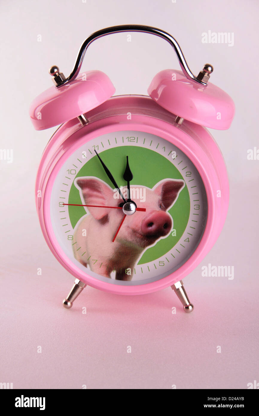 Rosa, round analog orologio sveglia con suini foto, su sfondo rosa. Foto Stock