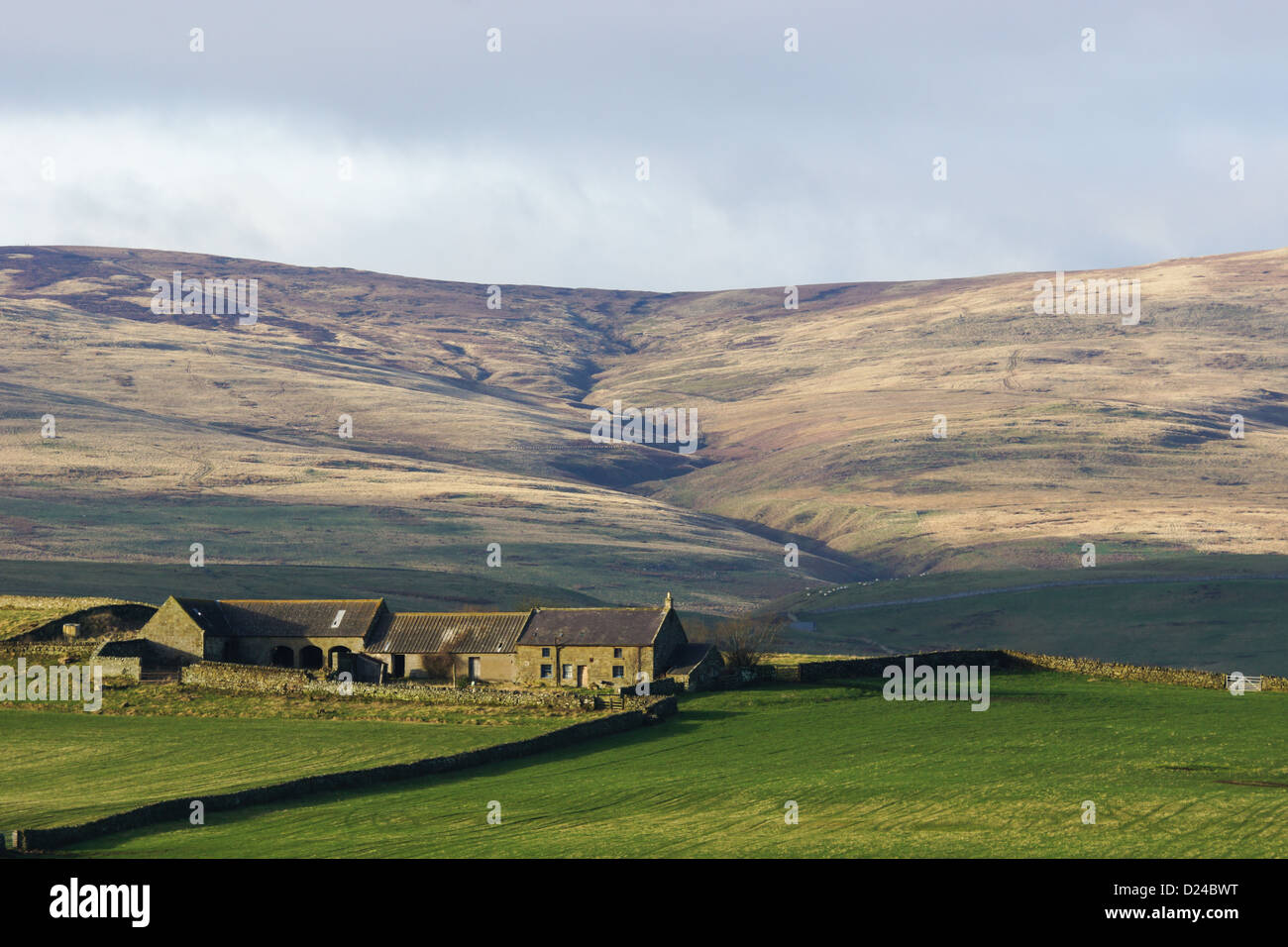 Fattoria remoto nel Cheviot Hills, Northumberland, Regno Unito. Foto Stock