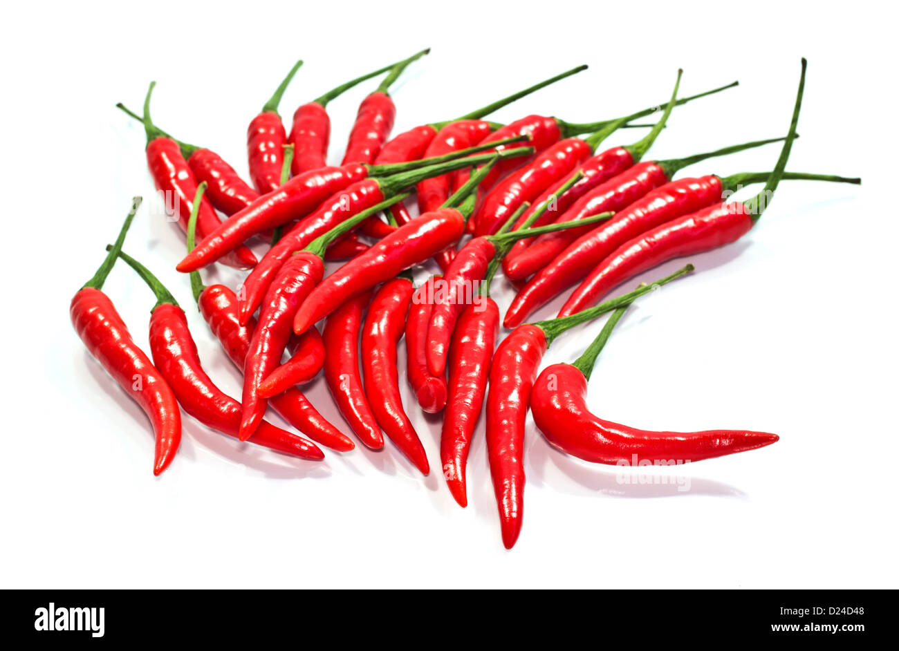 Thailandia rosso pepe di capra su sfondo bianco. Foto Stock