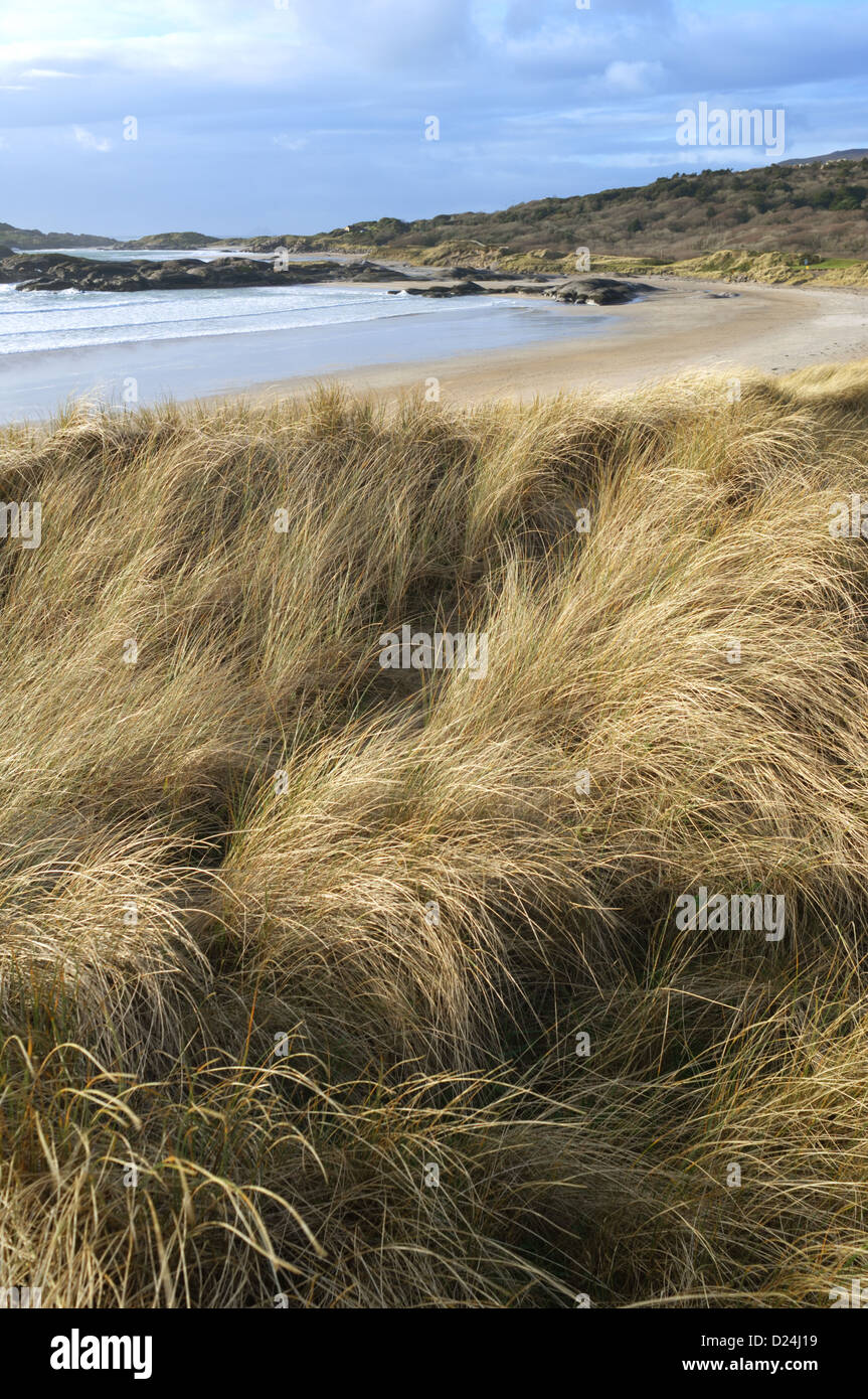 Contea di Kerry, Irlanda Foto Stock
