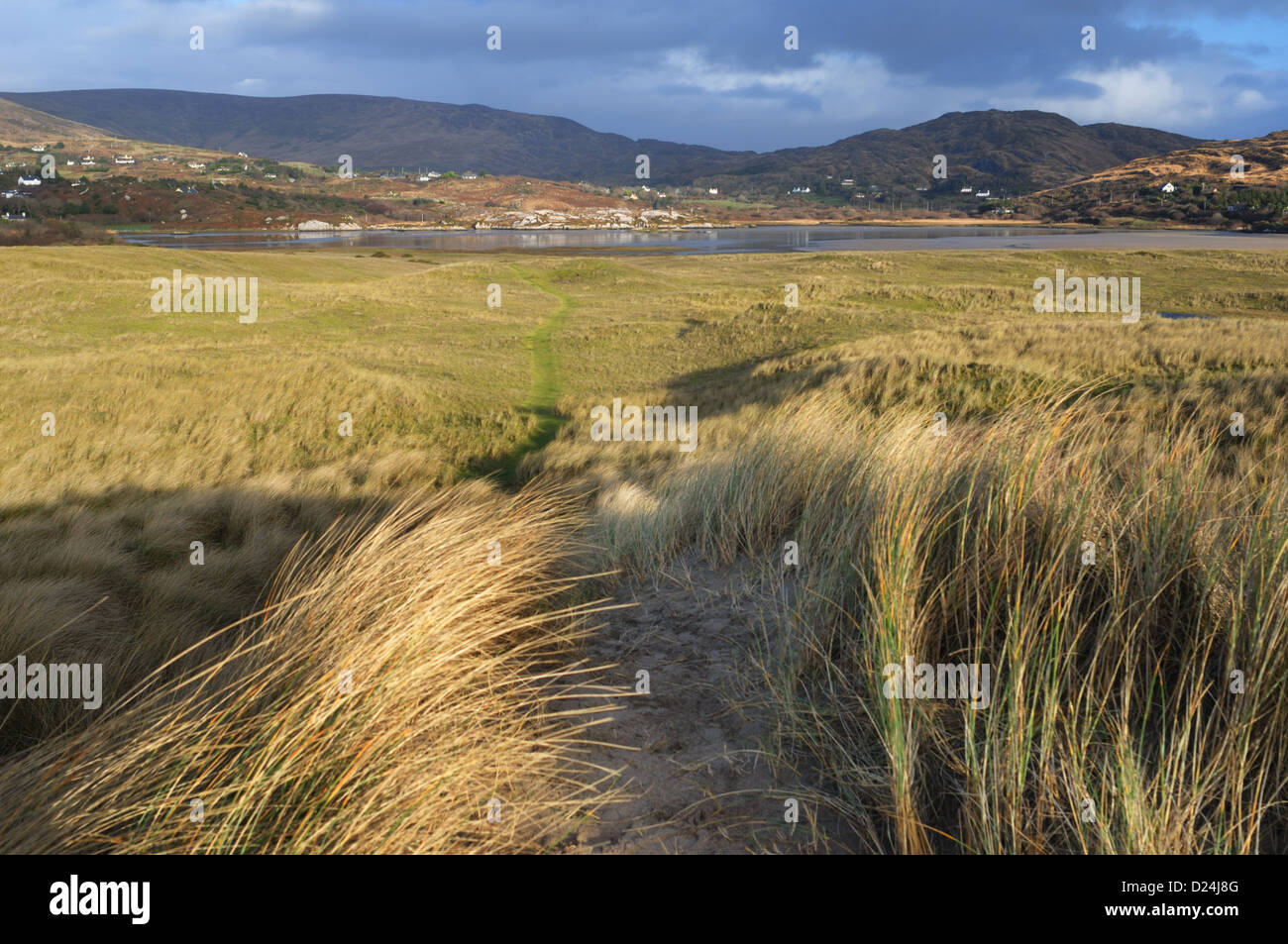 Contea di Kerry, Irlanda Foto Stock