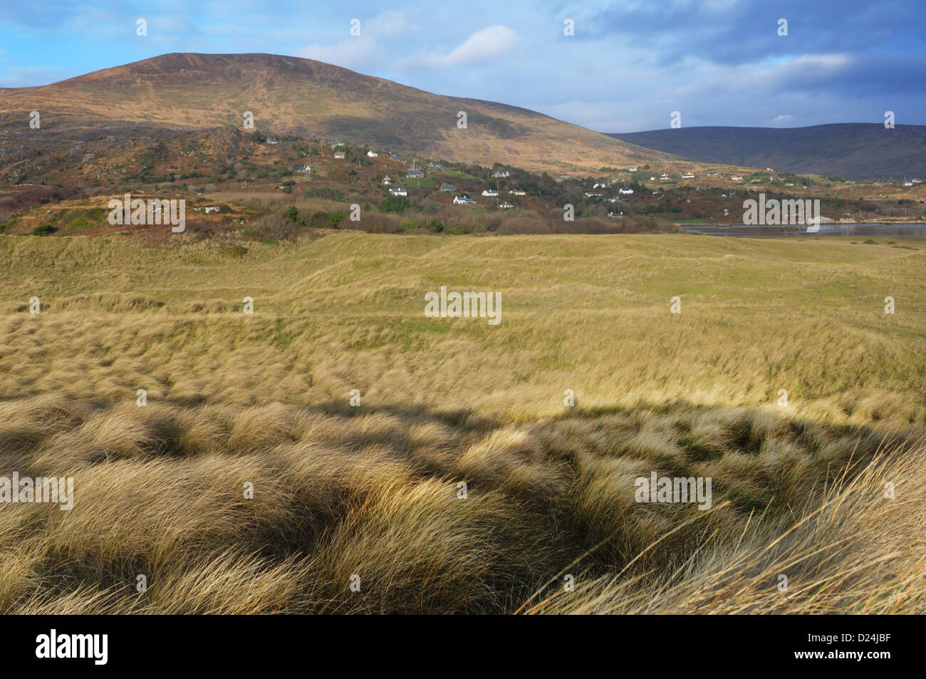 Contea di Kerry, Irlanda Foto Stock