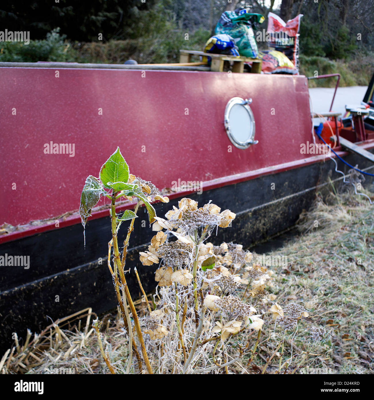 Inverno a sud del canale di Oxford, Oxford, Oxfordshire, Oxon, Inghilterra, Regno Unito, imbarcazione narrowboat, ghiaccio, brina, canal GB British Foto Stock