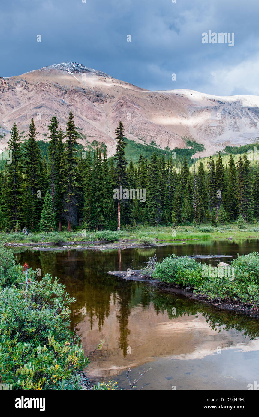 Paesaggio di montagna con piccolo laghetto nel parco nazionale di Banff, Alberta, Canada Foto Stock