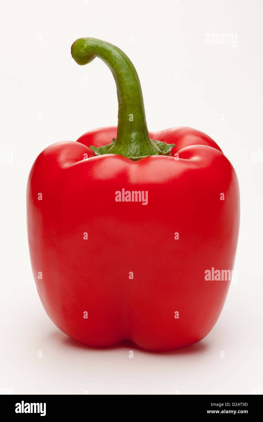 Unico peperone rosso su sfondo bianco Foto Stock
