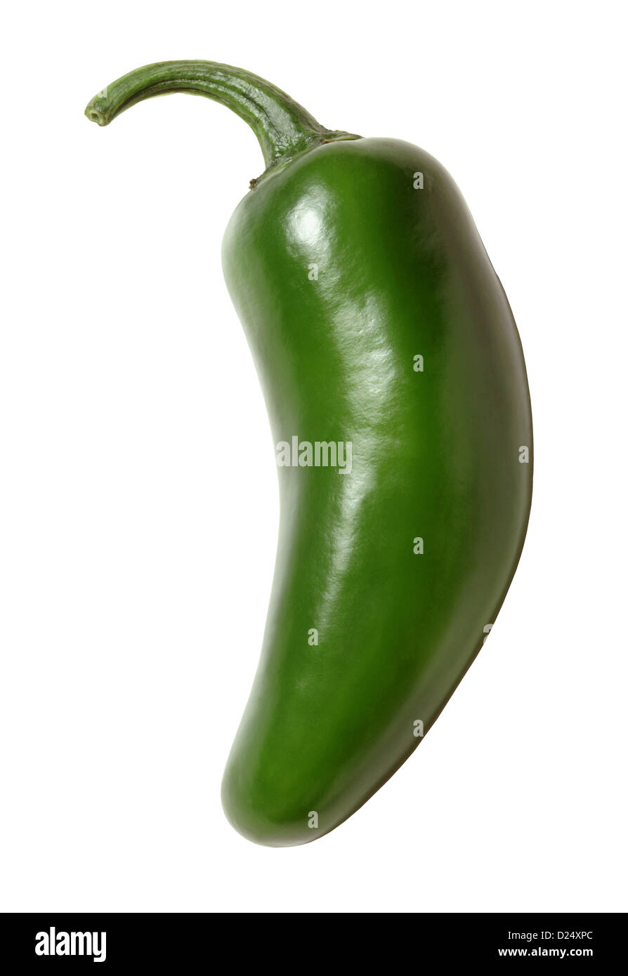 Verde peperoncino jalapeno delineato su bianco Foto Stock