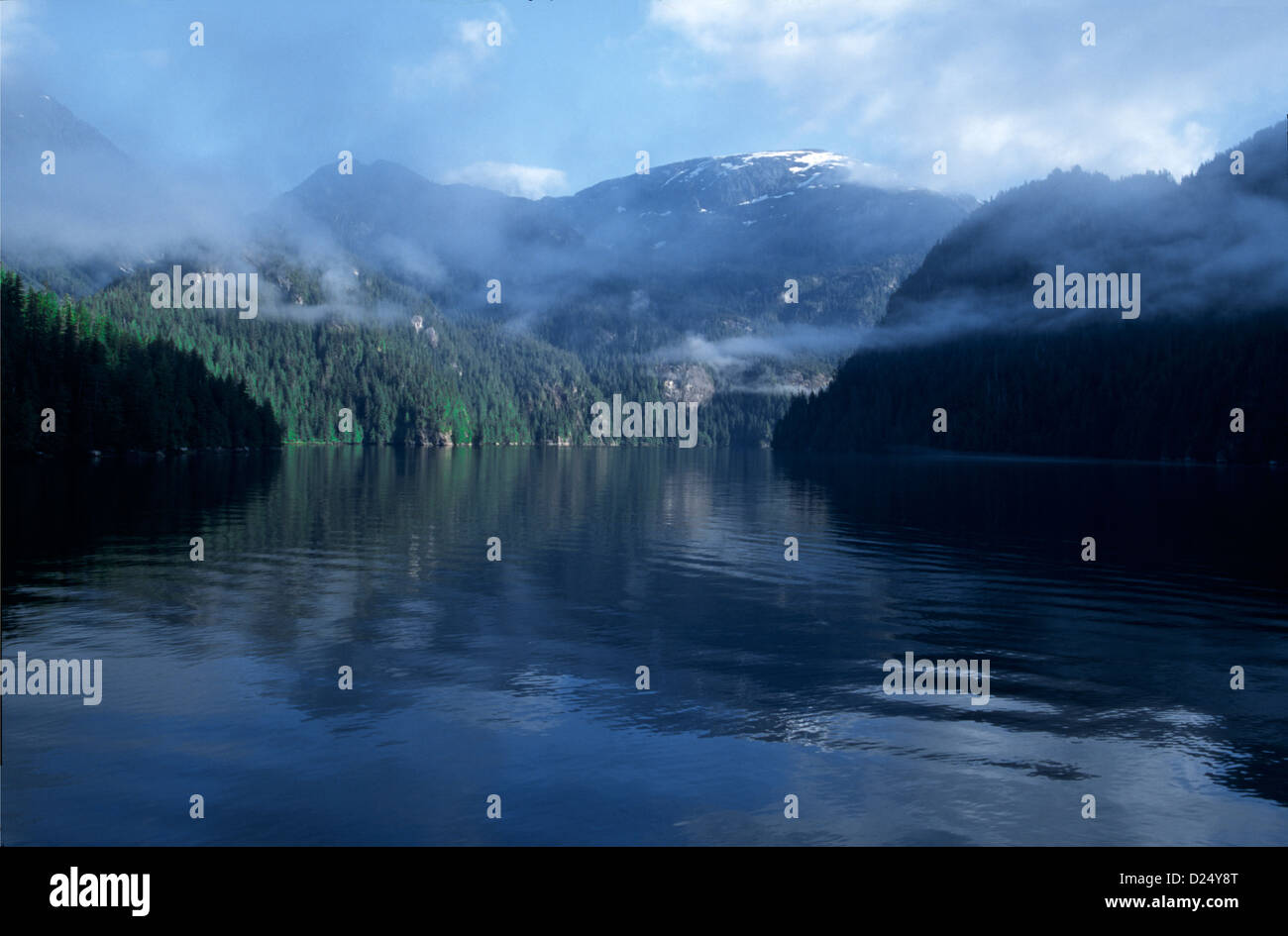 Fedele al suo nome, un early morning mist schermi Rudyerd Bay, Misty Fjords National Monument, Alaska Foto Stock