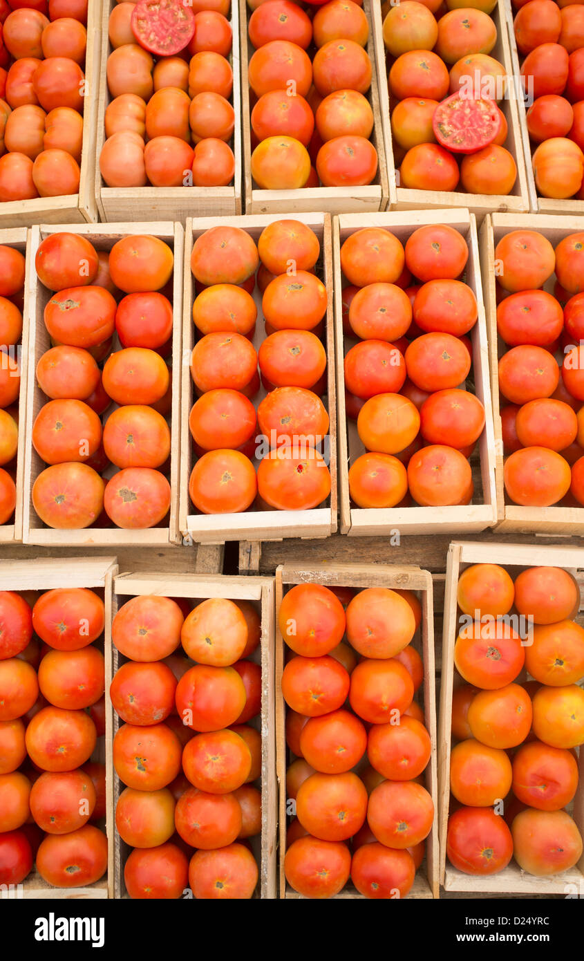 Scatole di pomodori, mature e frutti saporiti e verdure al fair Foto Stock