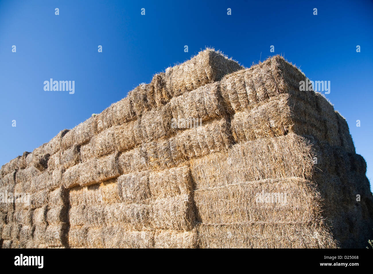 Sanlucar la Mayor, Spagna, impilate balle di paglia Foto Stock