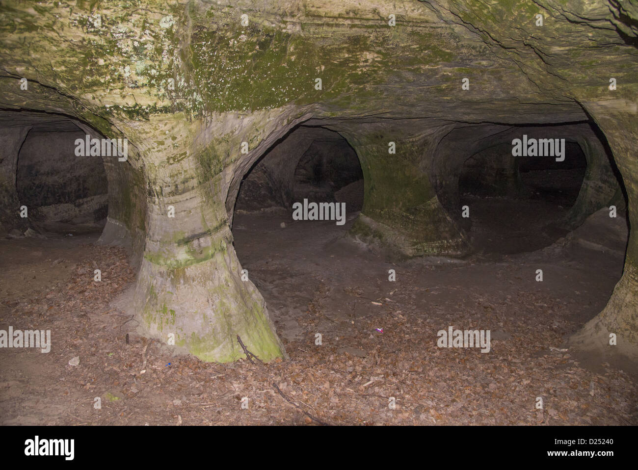 Caverne create nel corso delle cave di pietra nel XVIII secolo, alloggiamento del sito pipistrelli, Beeston Castle, Tarporley, Cheshire, Inghilterra, Novembre Foto Stock
