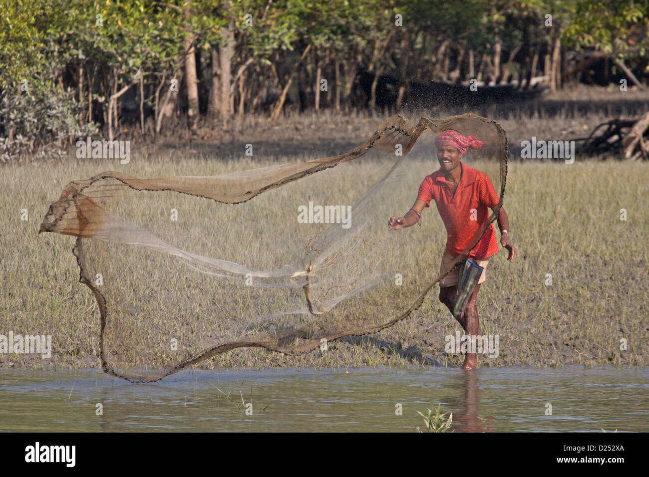 Pescatore netto di colata a bordo di acqua nella foresta di mangrovie, Sundarbans, delta del Gange, West Bengal, India, Marzo Foto Stock