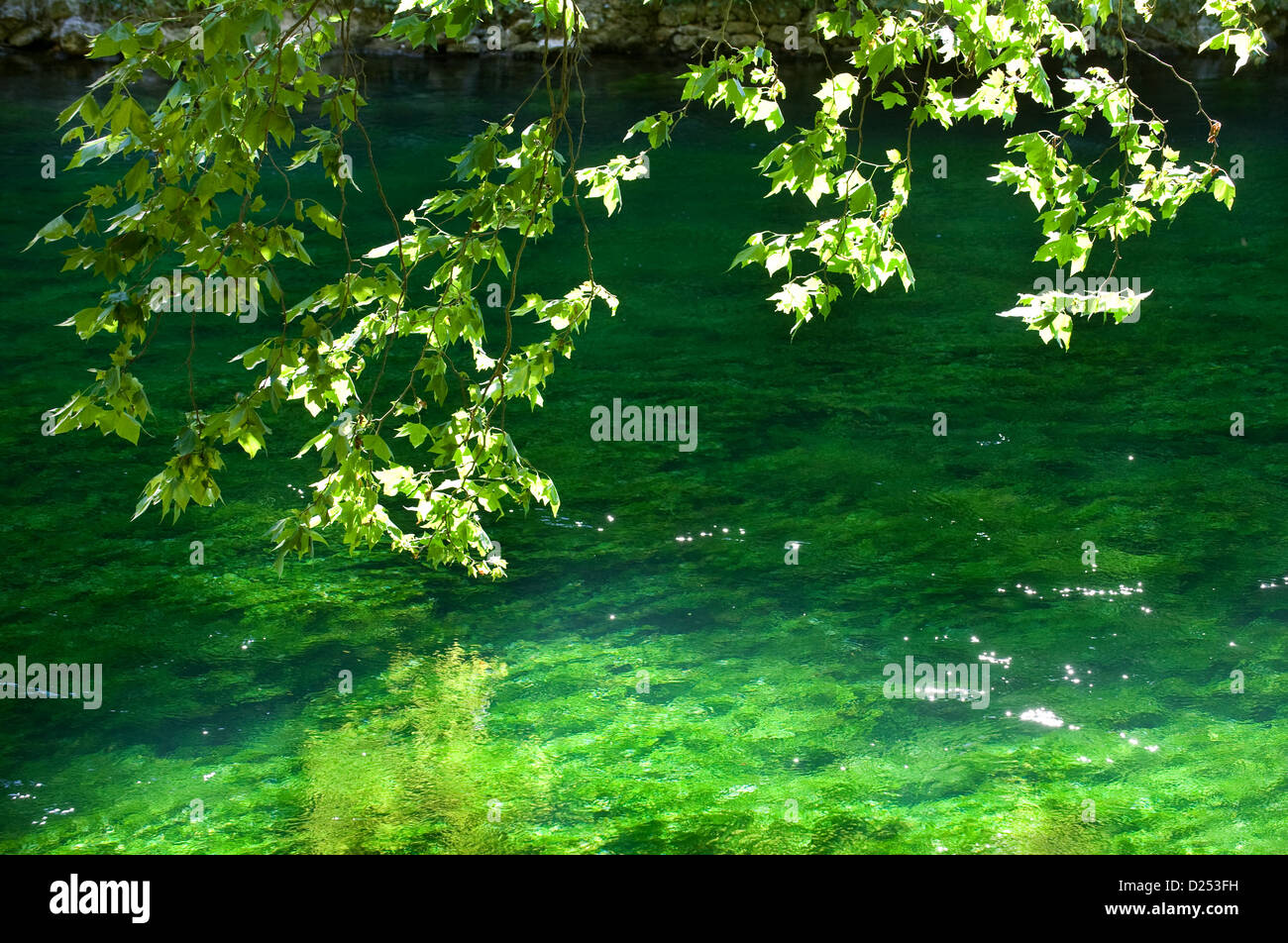 Fontaine de Vaucluse Francia, uno della Sorgue river vicino-source Foto Stock