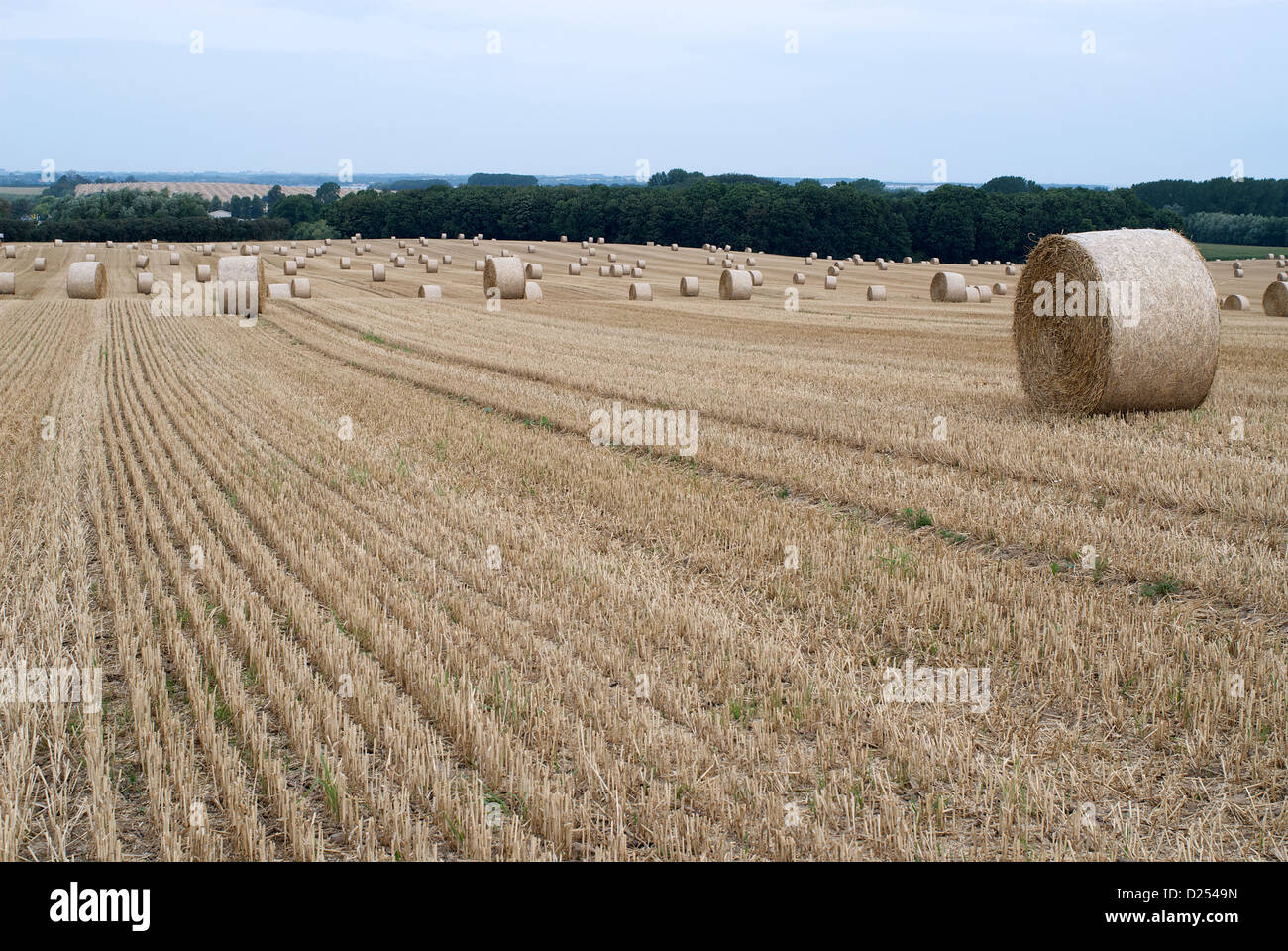 Manderow, Germania, raccolte campo di grano con le balle di paglia Foto Stock