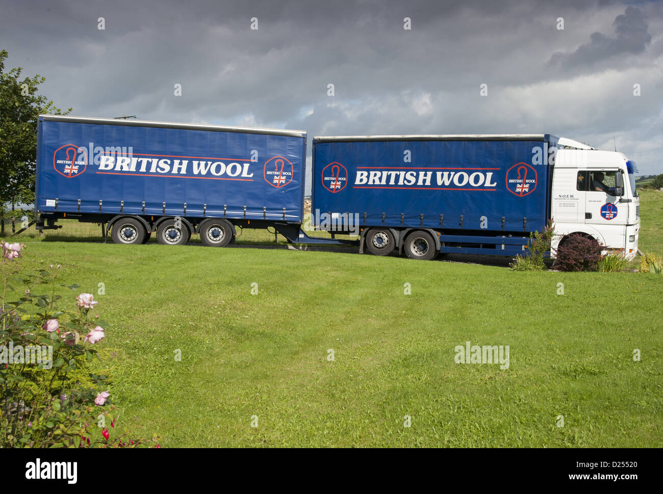 Britsh lana camion arriva a prendere in consegna delle balle di lana, Jervaulx, Masham, Ripon, North Yorkshire, Inghilterra, Agosto Foto Stock