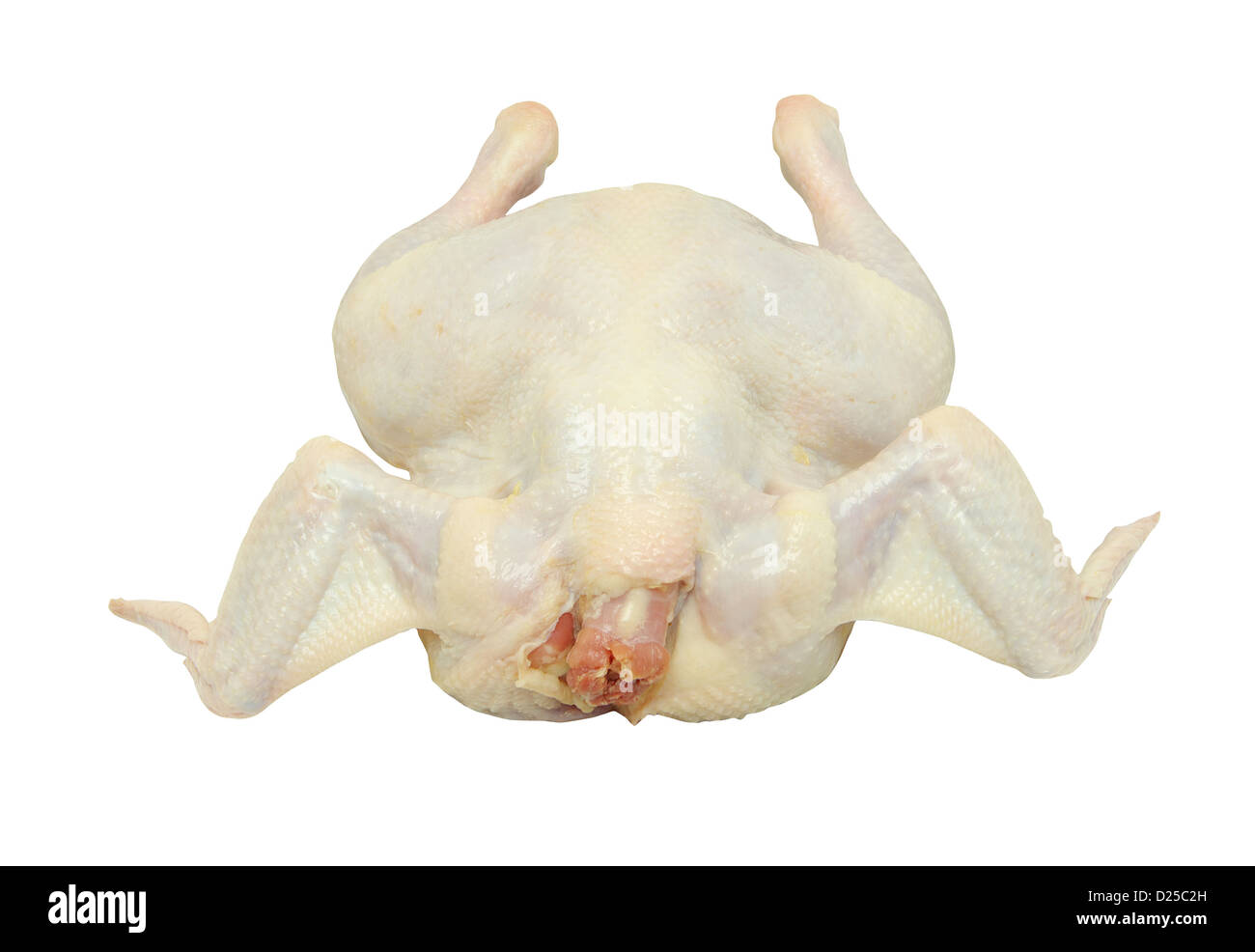 Il pollo crudo isolati su sfondo bianco Foto Stock