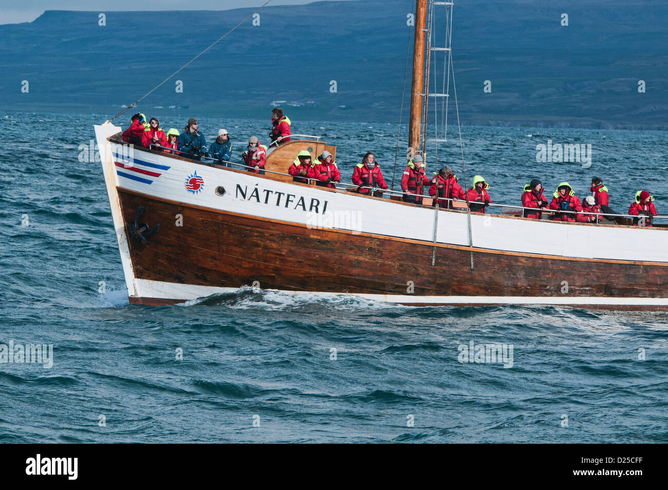 Whale watching in barca nelle Husavik, Islanda Foto Stock