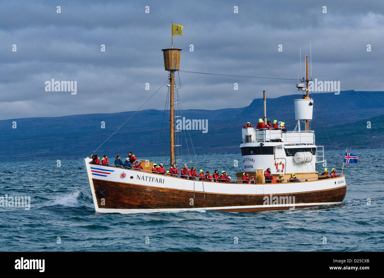 Whale watching in barca nelle Husavik, Islanda Foto Stock