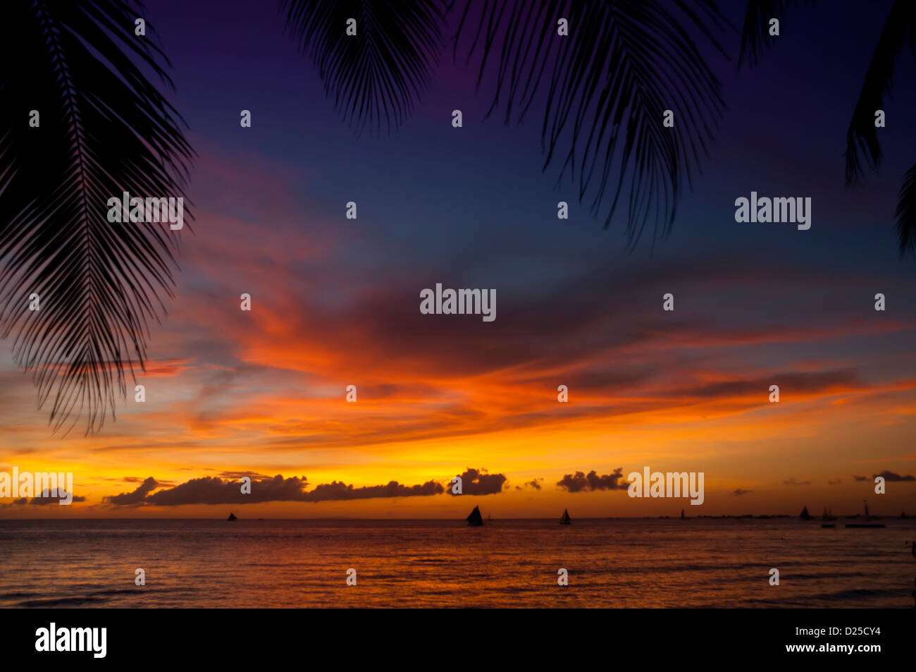 Bellissimo tramonto tropicale con Palm tree silhouette. Foto Stock