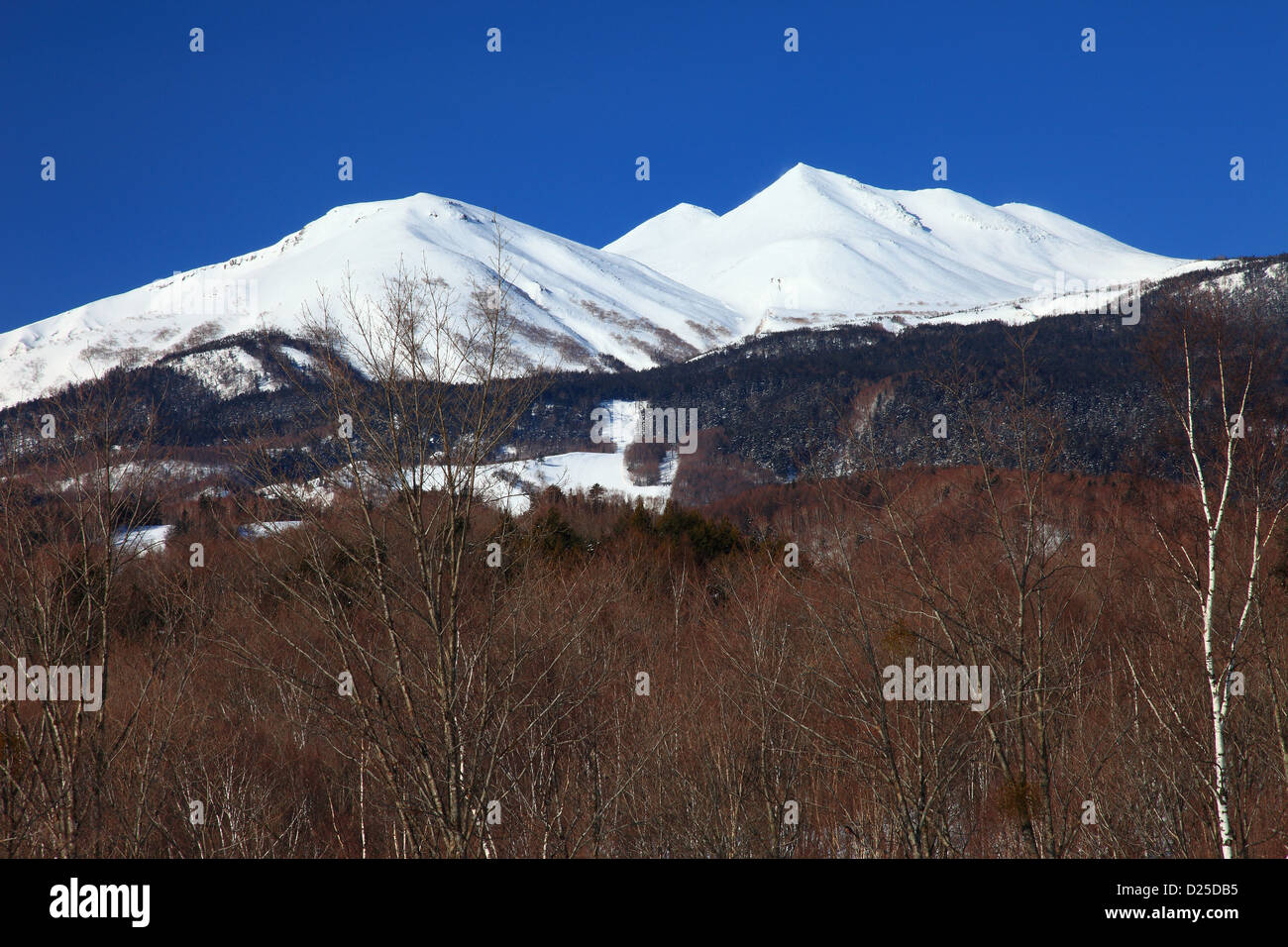Norikura altopiano, Prefettura di Nagano Foto Stock