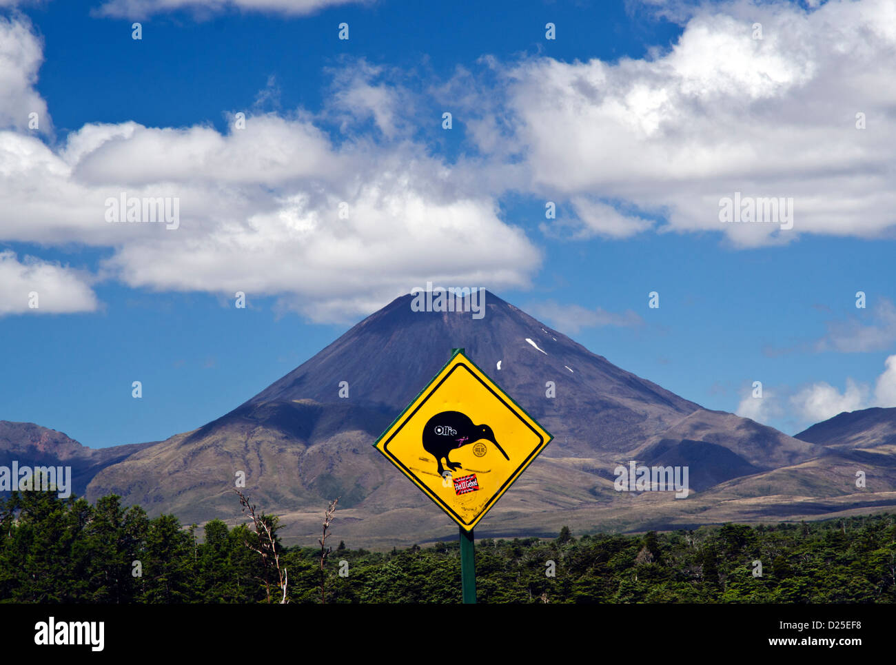 Kiwi segno di fronte al Monte Ngauruhoe Foto Stock