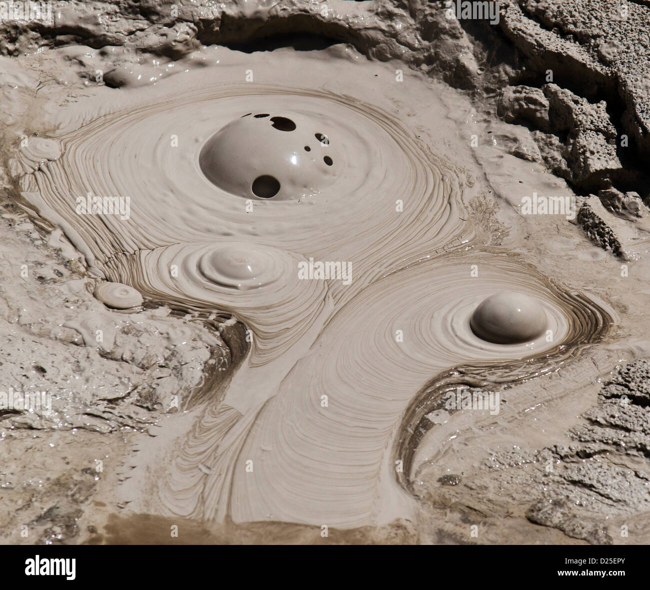 Bolla di fango geotermica prorompente come la pressione da un gayser rilascia, Orakei Korako Hidden Valley, Nuova Zelanda Foto Stock