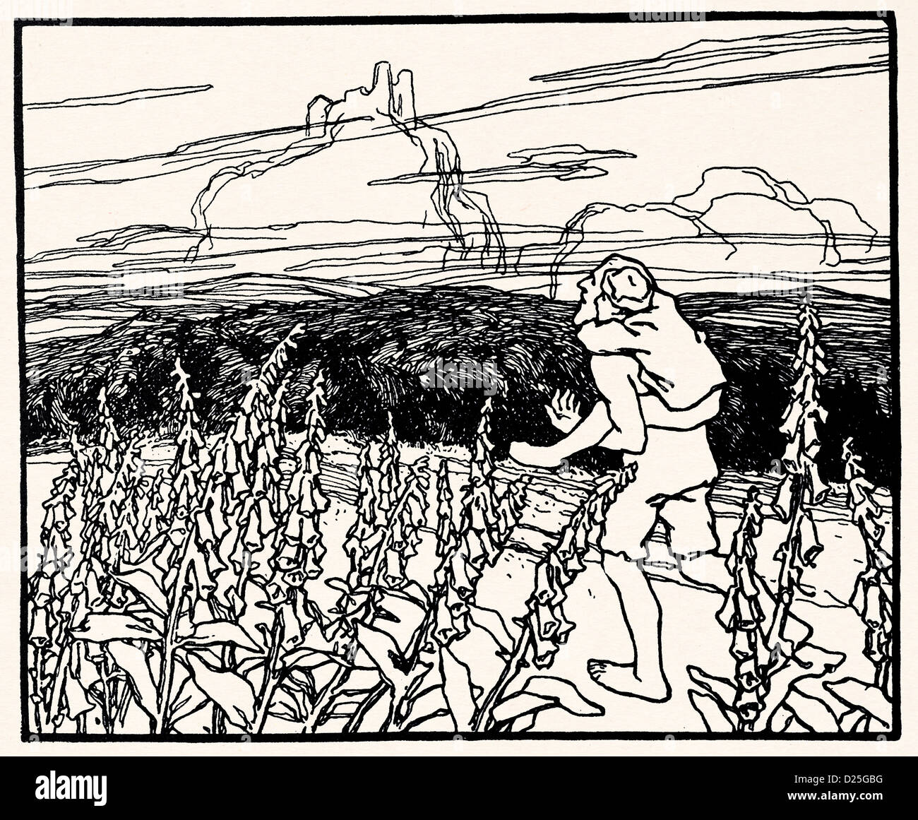 Piggyback sul campo flowes Foto Stock