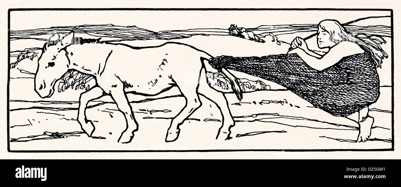 Asini tirando net con donne Foto Stock