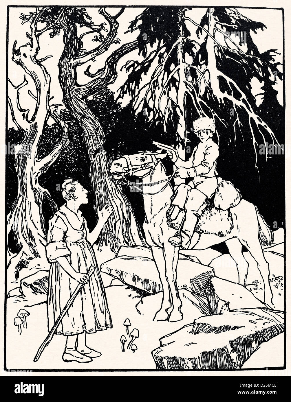 Equitazione donna nella foresta Foto Stock