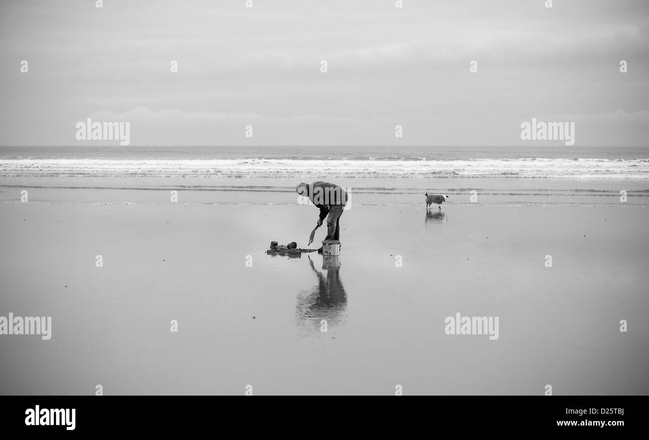 Un uomo scava per esche da pesca sulla spiaggia di Saltburn in Cleveland Foto Stock